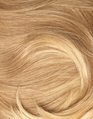 Blond hair close-up as a background. Women's long blonde hair. Beautifully styled wavy shiny curls....