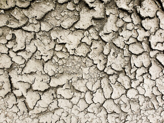 Dry ground, mud in the cracks. Dried cracked muddy ground. Dried earth,drought, view from above.