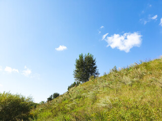 Obraz premium Summer hill, slope, tree and grass. Natural summer landscape. Hill covered with grass on a sunny day, rural area.