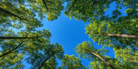Fototapeta premium Vertical Carbon Neutrality Concept: Clear Blue Sky and Green Trees Viewed from Below. AI-Generated Abstract Design for Earth Day and World Environment Day. Sustainable Energy Inspiration with Minimali