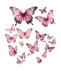Image of Pink butterflies isolated on a white background are seen in this generative AI image. printed on Printed Glass Basin Splashbacks