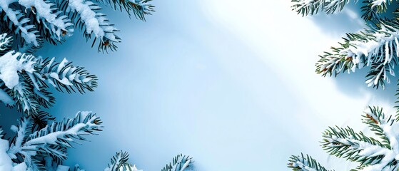 Obraz premium Snow-covered evergreen branches framing a clear blue sky, creating a serene winter scene perfect for seasonal backgrounds and holiday themes.
