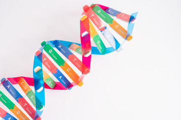 DNA or Deoxyribonucleic acid is a double helix chains structure formed by base pairs attached to a sugar phosphate backbone.