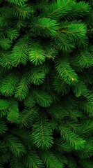 Lush green pine branches with small leaves create a festive atmosphere against a dark background, perfect for holiday greetings or a nature-inspired design