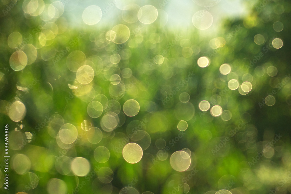 Canvas Prints the image is a blurry green background with many small circles