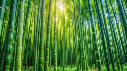 Tall green bamboo plants in a tranquil forest setting, bamboo, green, plant, forest, nature, growth, leaves, stalks, Asian, serene