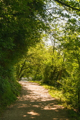 Obraz premium Hiking Trail At The Lakeside