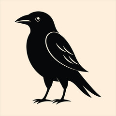 Bird silhouette vector illustration