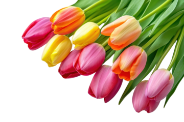 Vibrant bouquet of pink, yellow, and orange tulips. Perfect for spring, gardening, and floral themes. High-quality botanical stock photo.