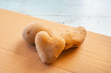 掘りたてのジャガイモ　