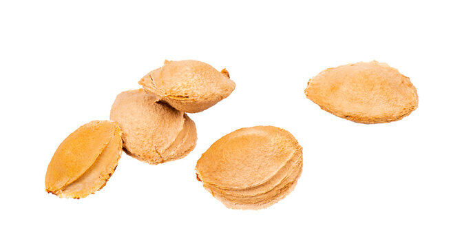 Apricot Kernels Isolated, Apricot Pits Pile, Fruit Seeds