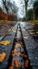 A scenic autumn alleyway captured from ground level with fallen leaves and a puddle reflecting the overcast sky, showcasing the beauty of seasonal change