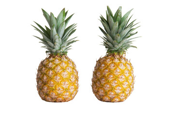 Two ripe pineapples stand side by side against a transparent background. showcasing their vibrant yellow skin and spiky green leaves.