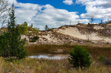622-63 Dune Pond