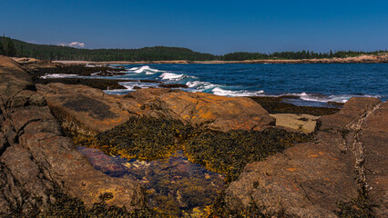 rocky beach tidal pool