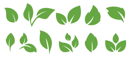 Green leaf icons set. Leaf Shapes. Elements for eco, natural, bio, vegan labels. Leaves isolated on white background
