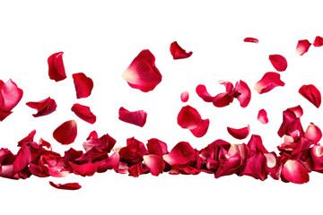 A vibrant scattering of red rose petals on a transparent background. perfect for romantic or celebratory themes in your design projects.