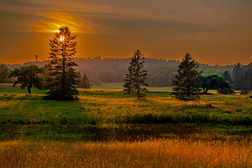 sunset in the field