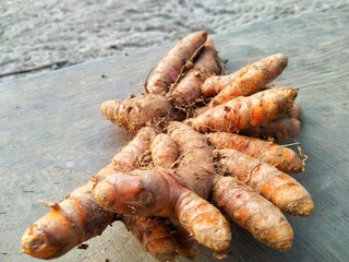 Turmeric 