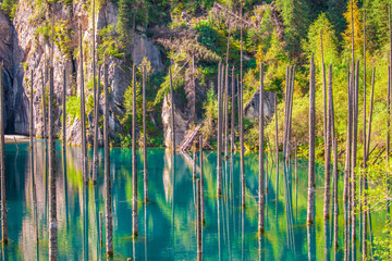 Sunken forest of Lake Kaindy in Kazakhstan. Beautiful mountain natural landscape. A blue lake with...