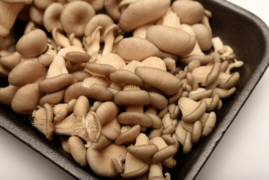 Pleurotus ostreatus. Edible mushrooms in a package.