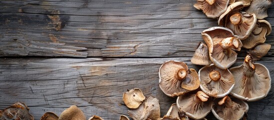 Mushrooms dried on a wood backdrop with copy space image.