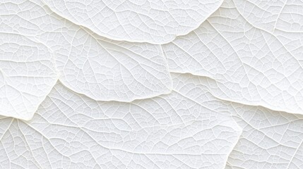 Close-up view reveals delicate white leaves with transparent veins layered gracefully on a soft beige background, emphasizing their fine textures SEAMLESS PATTERN