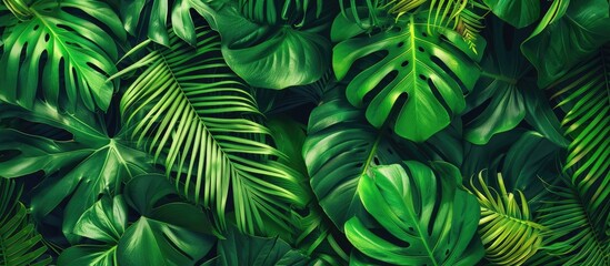 Tropical plants create an abstract forest pattern with leaves in a seamless design, set against a green background, perfect for use on various media like menus, booklets, banners, and websites as a