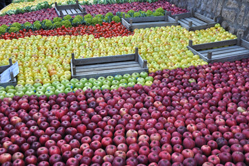 ,Verdure esposte . Carciofi, limoni, melanzane, aglio, cipolle, pomodori, funghi, arance, cachi, carote, mele, broccoli, patate