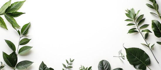 Minimal nature-themed flat lay design with papers and leaves arranged creatively against a white background, perfect for copy space image.