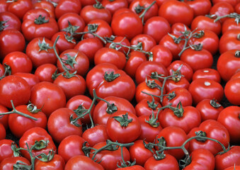 Verdure esposte . Carciofi, limoni, melanzane, aglio, cipolle, pomodori, funghi, arance, cachi, carote, mele, broccoli, patate