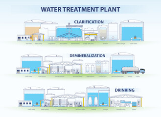 water plant all