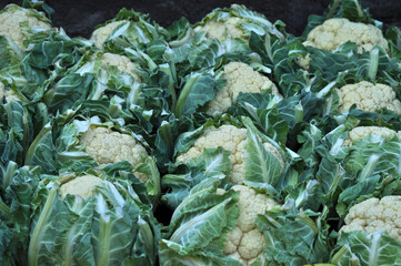 Obraz premium Verdure esposte . Carciofi, limoni, melanzane, aglio, cipolle, pomodori, funghi, arance, cachi, carote, mele, broccoli, patate