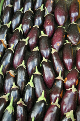 Verdure esposte . Carciofi, limoni, melanzane, aglio, cipolle, pomodori, funghi, arance, cachi, carote, mele, broccoli, patate