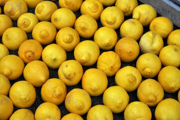 Verdure esposte . Carciofi, limoni, melanzane, aglio, cipolle, pomodori, funghi, arance, cachi, carote, mele, broccoli, patate