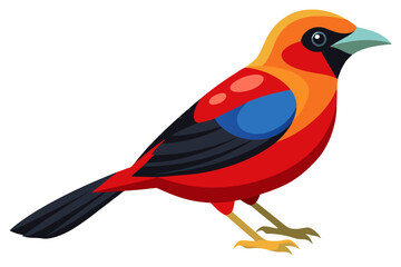  Brazilian tanager vector art illustration