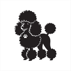 Poodle Dog silhouette vector 