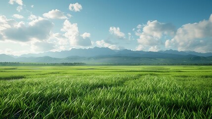 Obraz premium Grass Field with Mountain Background Illustration