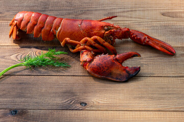 Lobster on wooden Background
