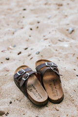 Brown flip-flops on the beach