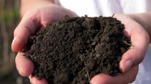 Close-up of a farmer's hands holding the soil for growing crops