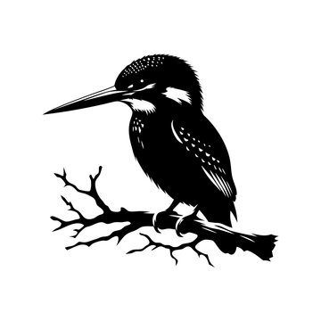 recommend clip art: kingfisher sitting on a branch silhouette vector illustration silhouette on white background
