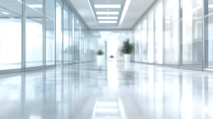 Fototapeta premium Bright and spacious office hallway with glass partitions and potted plants, featuring a sleek and minimalist design.