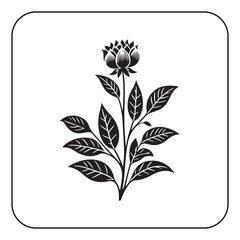 Vintage Flower Design with Classic Botanical Illustrations