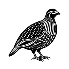 A quail silhouette vector illustration