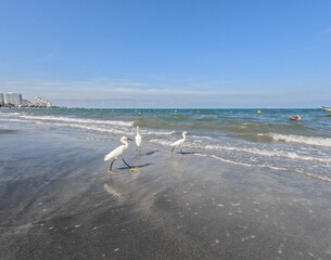 The beaches and landscapes of Santa Marta are some of the most beautiful in Colombia.