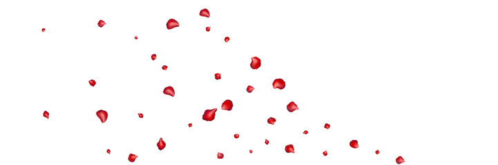 Flying red petals transparent background. Beautiful floral overlay with lots of rose petals.