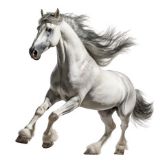 grey horse running watercolor isolated on transparent background cutout