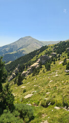 Le pic de Costabonne vu depuis la montée vers les Esquerdes de Rotjà