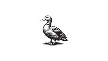 duck isolated on white and duck logo design of vector art or sports 